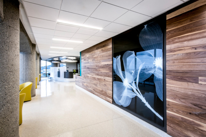 UCSF Medical Center - Ambulatory Care Center 5th Floor Heart & Vascular Clinic Renovation - 0