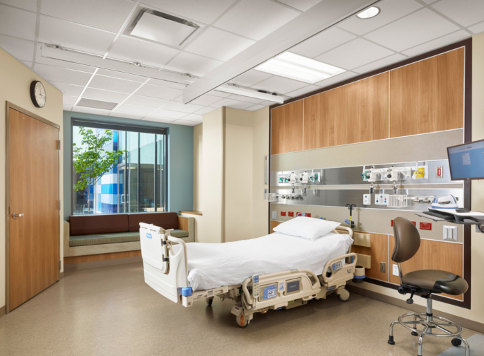 Dell Seton Medical Center at the University of Texas - 0