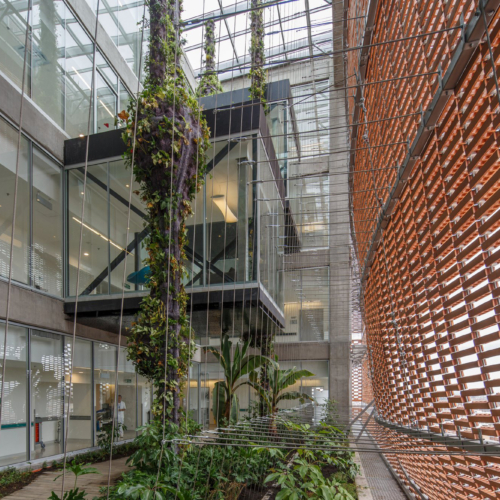 recent University Hospital of the Santa Fe de Bogotá Medical Foundation healthcare design projects