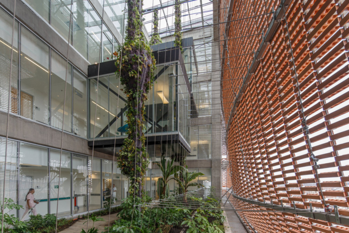 University Hospital of the Santa Fe de Bogotá Medical Foundation - 0
