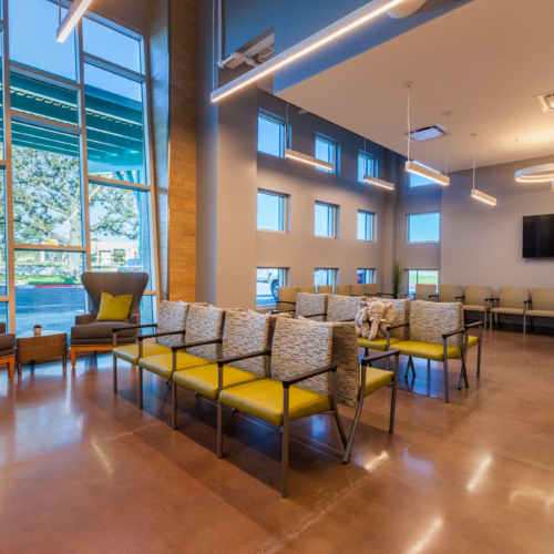 Treehouse Pediatric Clinic Addition