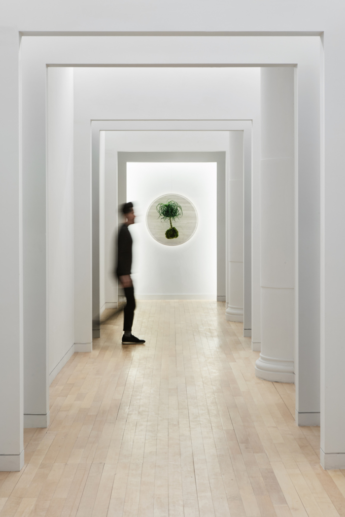Parsley Health's NYC Flagship Center - 0