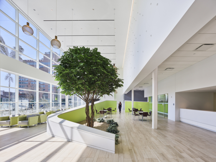 The New York Proton Center - 0