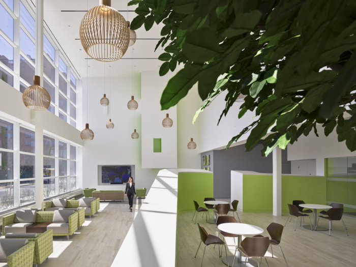 The New York Proton Center - 0
