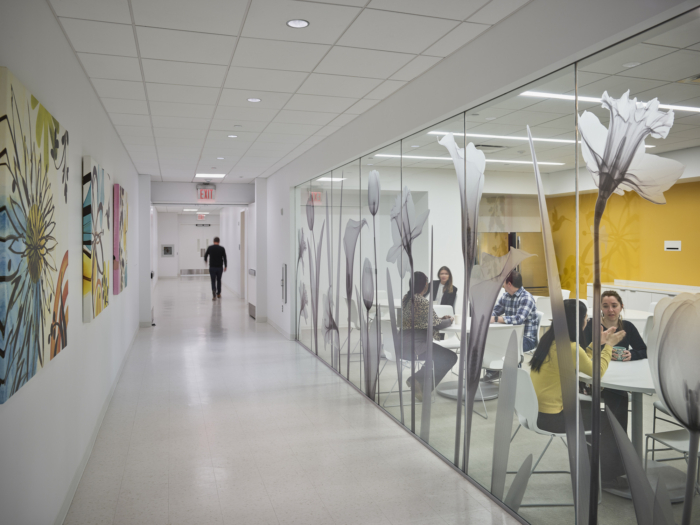 The New York Proton Center - 0
