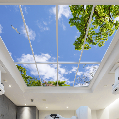 Luminous SkyCeilings - 11