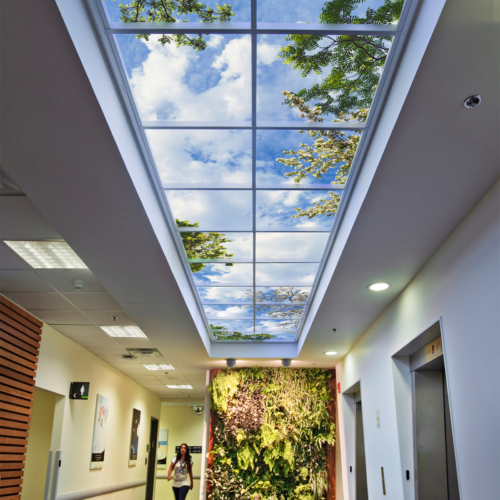 Luminous SkyCeilings - 3