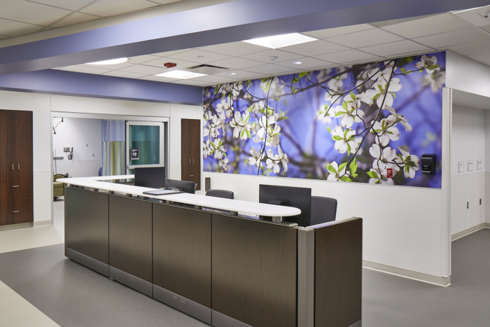 Rush Oak Park Hospital - Emergency Department - 0