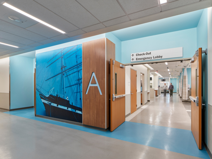Main Line Health Lankenau Medical Center Emergency Department - 0