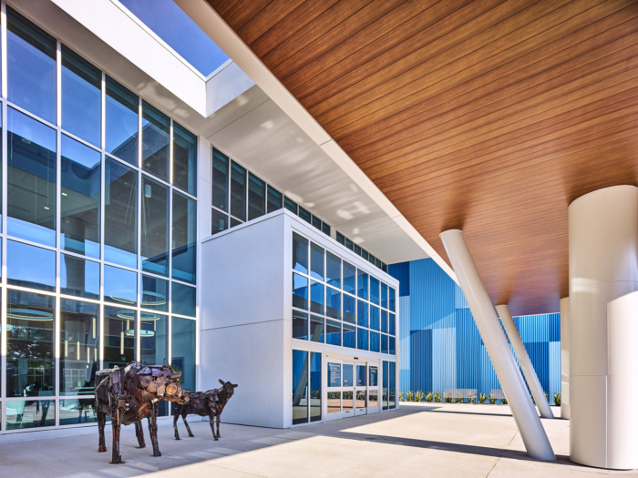 BayCare HealthHub Bloomingdale - 0