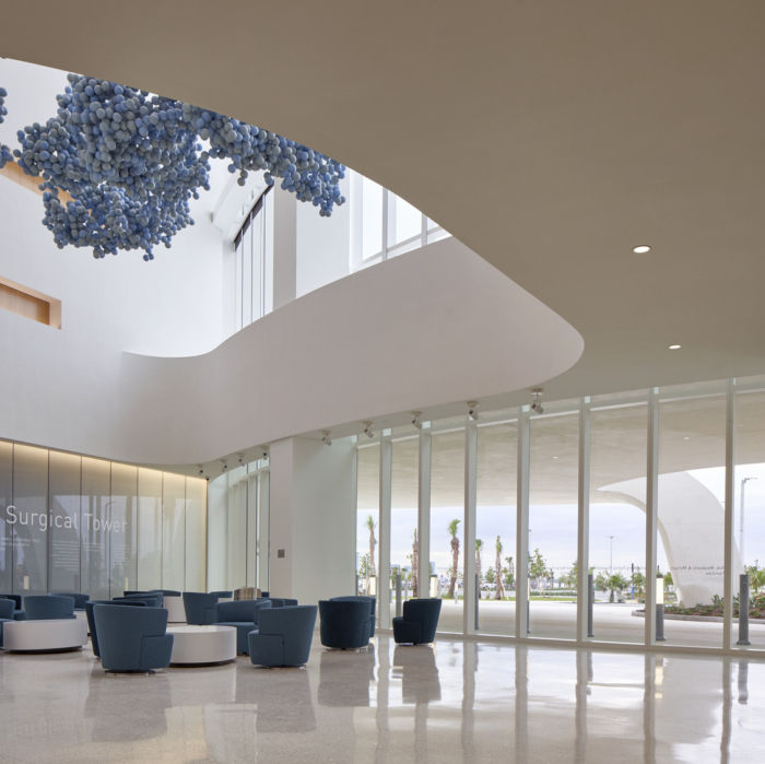 Mount Sinai Medical Center - Skolnick Surgical Tower and Hildebrandt Emergency Center - 0