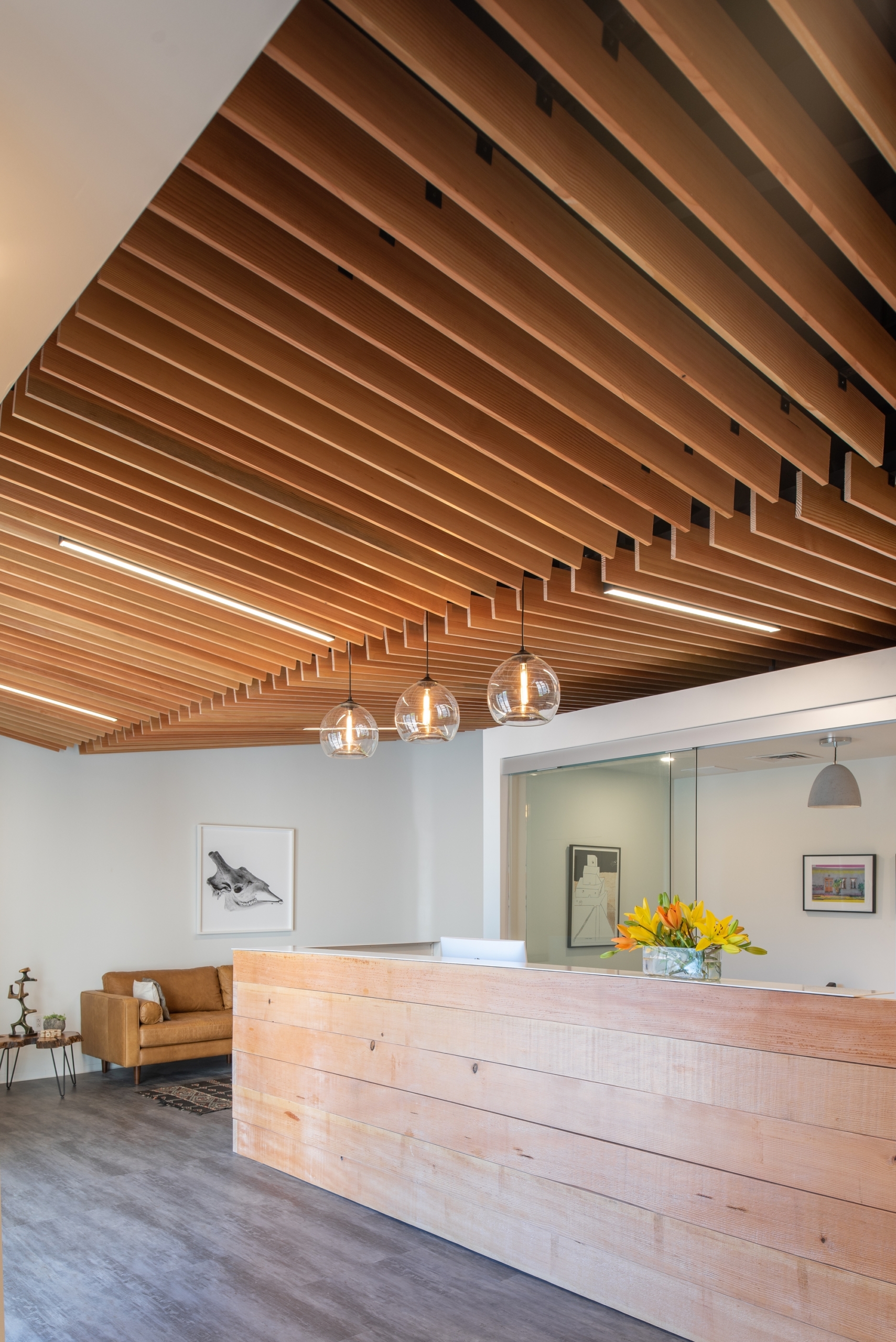 Skyline Dental - Healthcare Snapshots