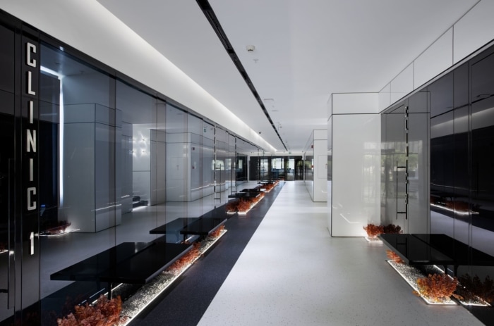 International Plus Dental Clinic - 0