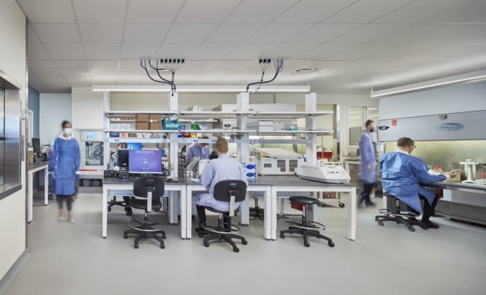 Loyola University Medical Center - Laboratory Relocation - 0