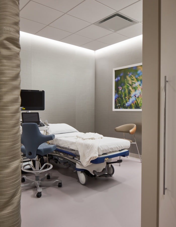 The Chicago Institute for Fetal Health - 0