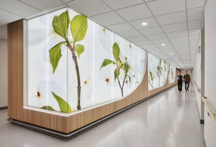 The University of Kansas Health System Proton Therapy Center - 0