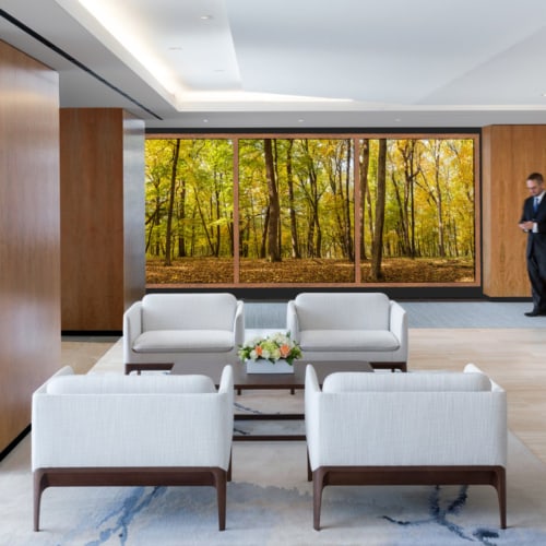 OpenView Luminous Virtual Window - 1