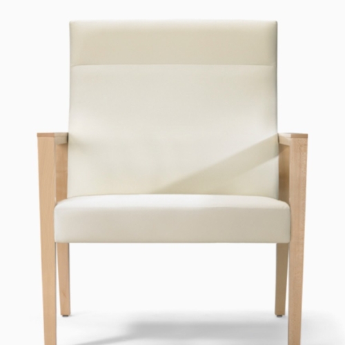Nemschoff Brava Plus Patient Chair - 1