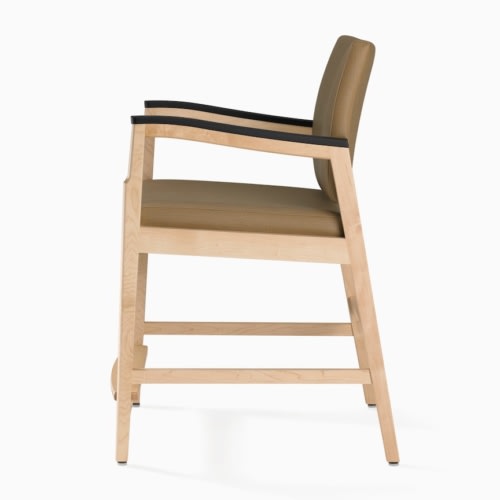 Nemschoff Monarch Easy Access Chair - 1