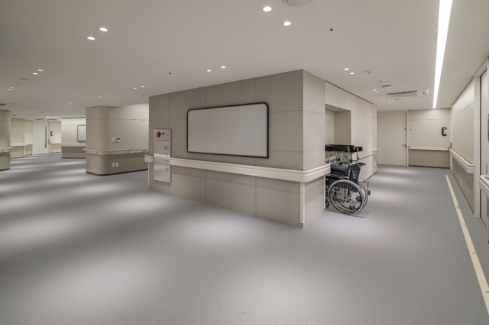 ABLE Hospital - 0